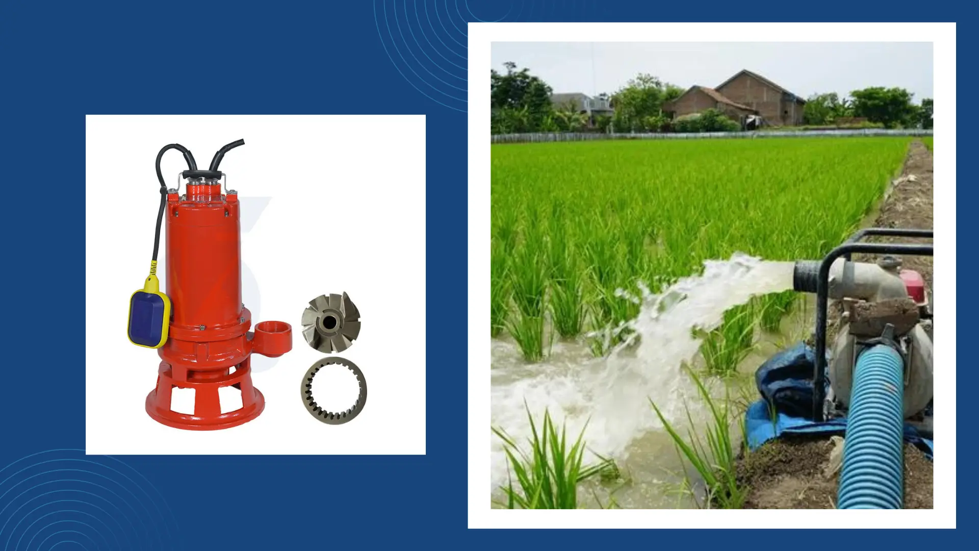 Reducing Energy Consumption in Agricultural Pumping