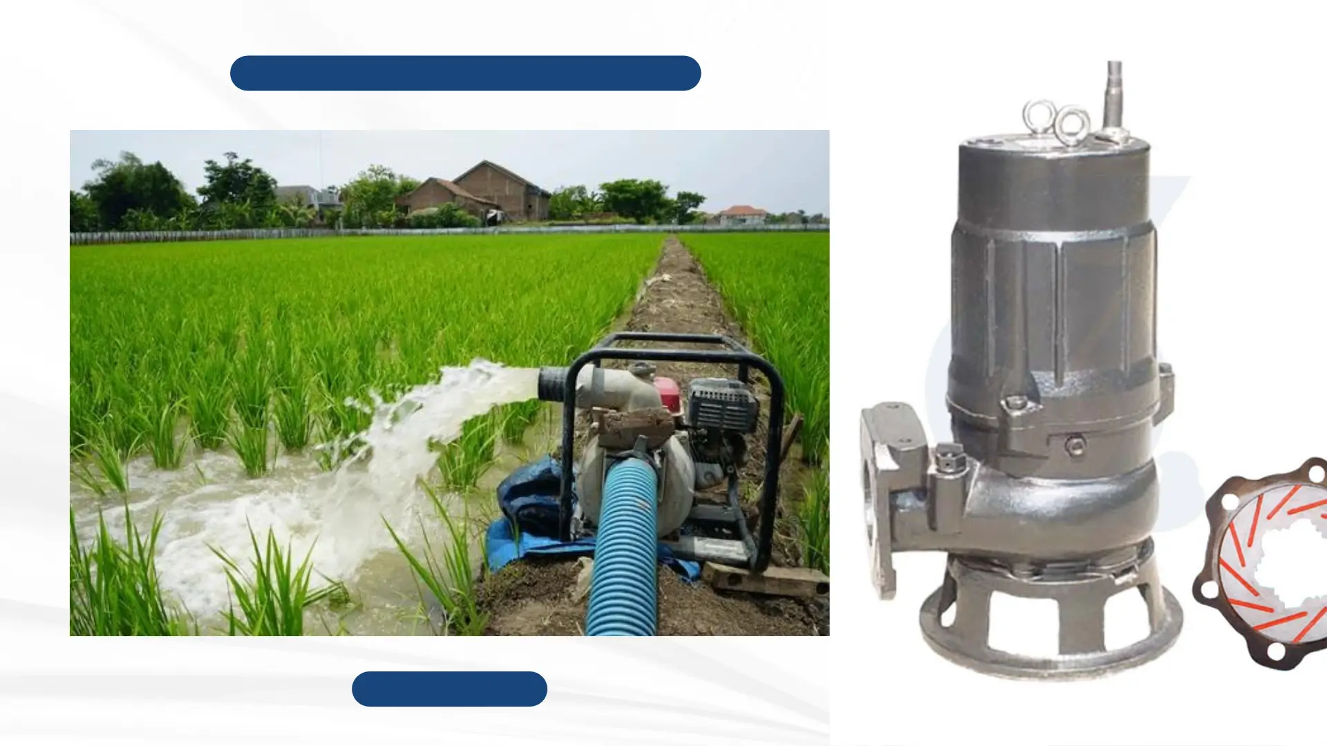 Additional Applications of Submersible Pumps in Agriculture