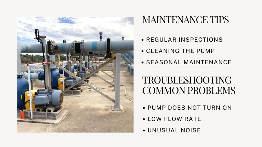 Submersible Pumps 101 Choosing the Perfect One for Household Applications