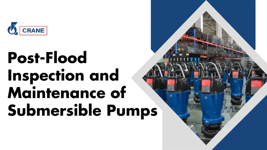 Post-Flood Inspection and Maintenance of Submersible Pumps