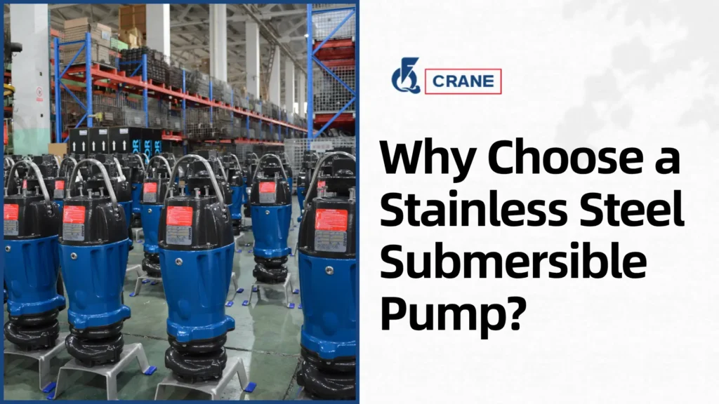 Why Choose a Stainless Steel Submersible Pump