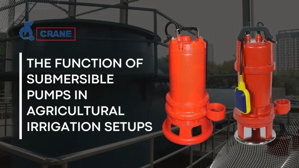 The Function of Submersible Pumps in Agricultural Irrigation Setups​